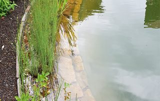 idyllischer Teich für den kreativen Garten von Bergmann Galabau