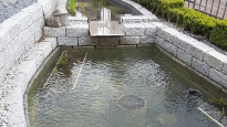 Geometrische Becken für den Schimmteich im Garten von Bergmann Galabau