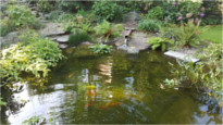 Naturnahe Teichanlage von Bergmann Galabau