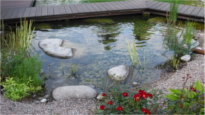 idyllischer Teich für den kreativen Garten von Bergmann Galabau