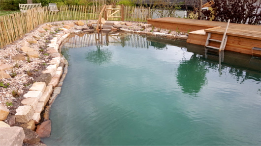 erfrischender Schwimmteich für den Garten von Bergmann Galabau